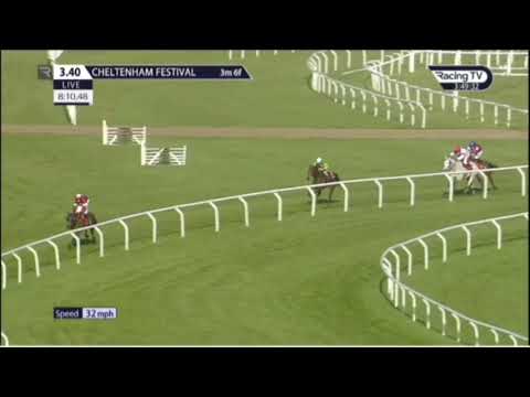 Cheltenham Festival 2021 Day 2 - All Finishes
