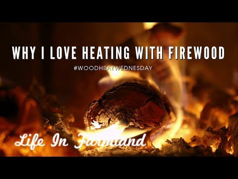 download lagu mp3 mp4 I Love Wood, download lagu I Love Wood gratis, unduh video klip I Love Wood