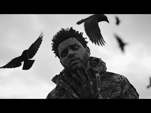 The Weeknd - The Birds - Part 2 (Music Video)