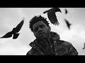 The Weeknd - The Birds - Part 2 (Music Video)