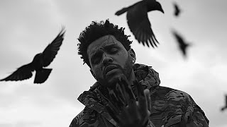 The Weeknd - The Birds - Part 2 (Music Video)