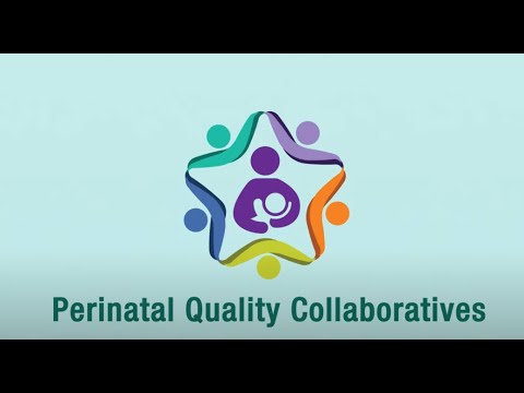 Perinatal quality collaboratives (PQCs)