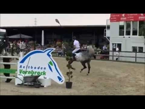 CAPISTRANO im S**-Springen in  Kirchhellen 2016