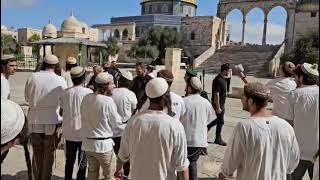 שמחת בית השואבה בהר הבית! (ישיבת הר הבית) - התמונה מוצגת ישירות מתוך אתר האינטרנט יוטיוב. זכויות היוצרים בתמונה שייכות ליוצרה. קישור קרדיט למקור התוכן נמצא בתוך דף הסרטון שמחת בית השואבה בהר הבית! (ישיבת הר הבית) - התמונה מוצגת ישירות מתוך אתר האינטרנט יוטיוב. זכויות היוצרים בתמונה שייכות ליוצרה. קישור קרדיט למקור התוכן נמצא בתוך דף הסרטון