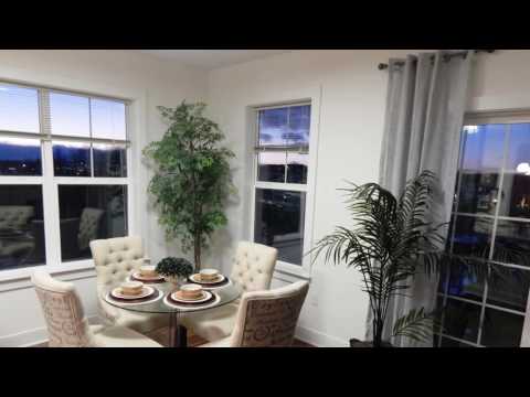 Palmer View | Experience Excellence