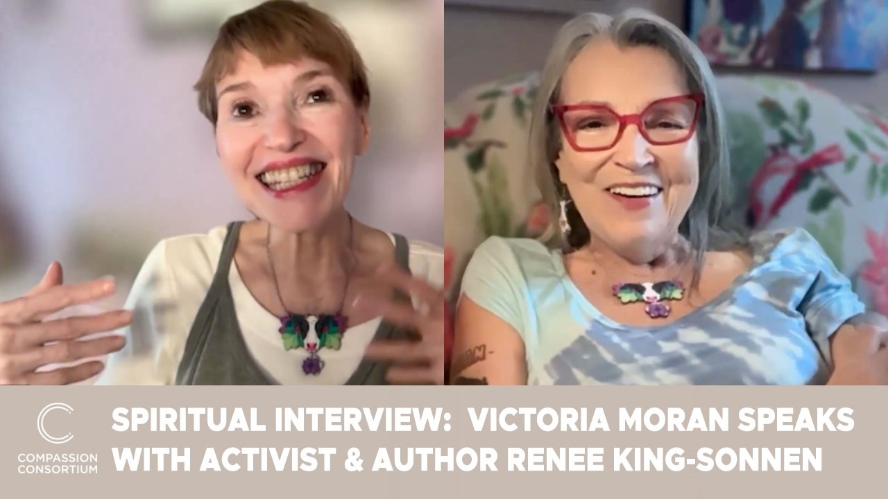Compassion Consortium | Victoria Interviews Renee King-Sonnen