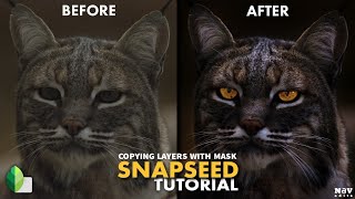 Copying Layers with Mask in SNAPSEED | SNAPSEED TUTORIAL | Android | iPhone
