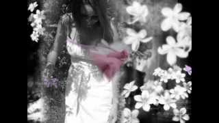 Kitchens Family Photos