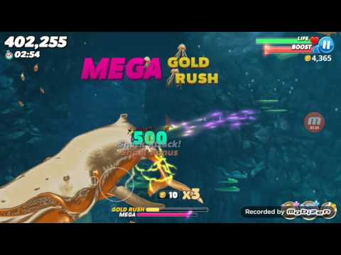 Hungry Shark World: Live Event for Heidi