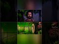 Shakuntalam Like Karan Sangini Hindi Serial Youtubeshorts Samantha Starplus Shakuntalam