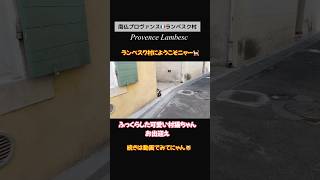 🇫🇷待ち伏せ猫🐈遊んでにゃん😽#フランス #南フランス #猫 #猫好きさんと繋がりたい