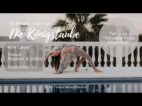 Vinyasa Flow in die Königstaube