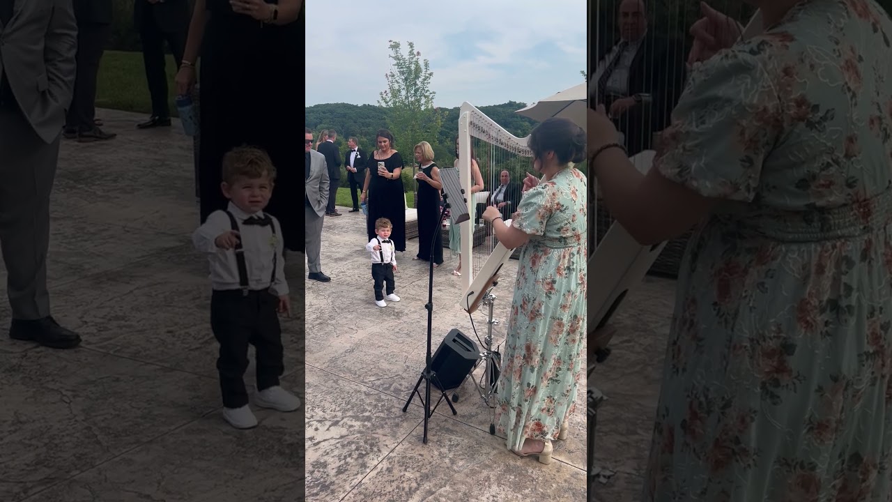 Promotional video thumbnail 1 for Sonja Westberg, harpist