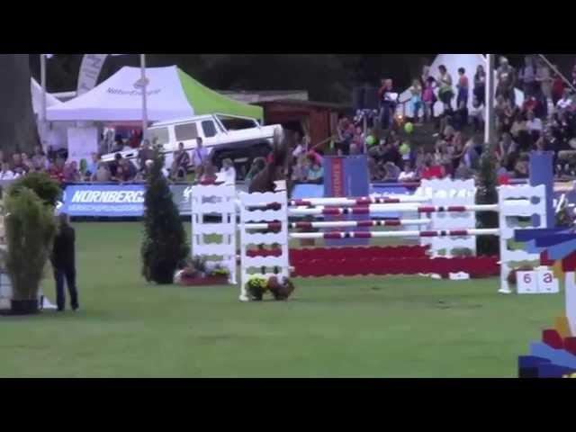 Mother of Chella Z is the Grand Prix CSI 1.60m jumping mare with rider Julia Houtzager-Kayser.