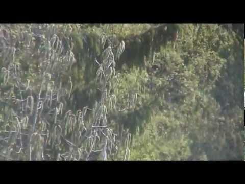 Tällästä suuhun pantavaa