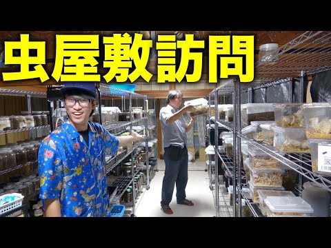 園芸 インセクトホテル