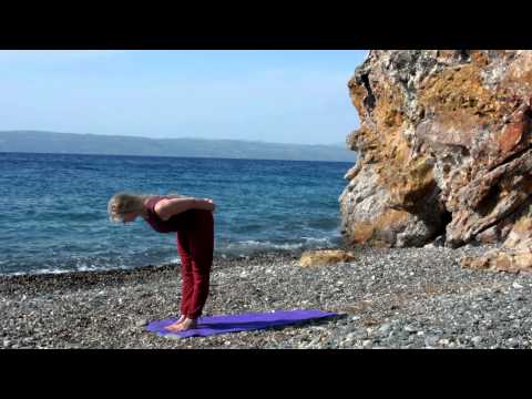 Yoga Flow Wirbelsäule und Schultern Shadanga Yoga