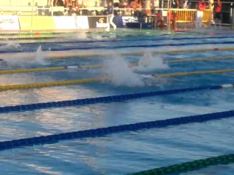 Staffetta 4x50 Misti Italiani Master 2011 Forum Buccheri Delfino corsia 7