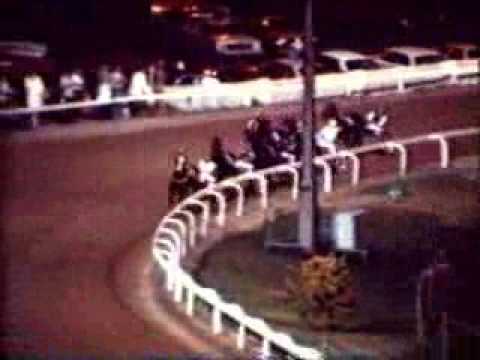 1980 Miracle Mile Winner Locarno NZ