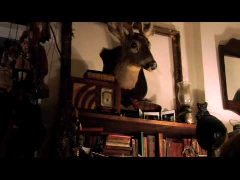 Nina Nastasia video