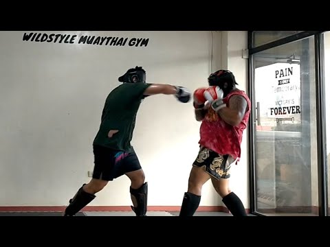 Light Sparring Session