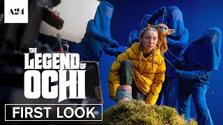 Official First Look