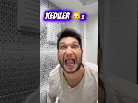 Köpekler vs kediler tuvalet yapma ￼