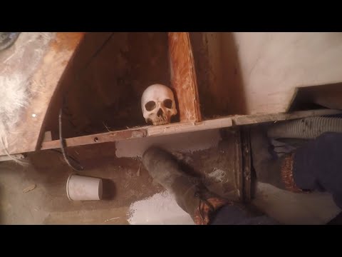 It's a skull! | SHARK 24