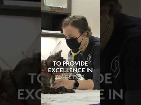 Taking Care of the Accidents