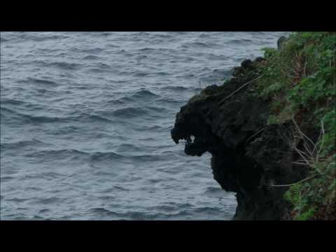 Beauty & the Beast / Jo Sumi & Im Tae kyung