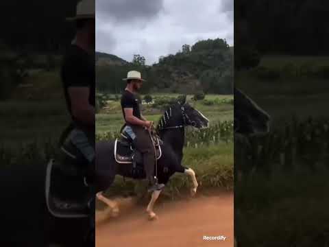 cavalgada de São Gonçalo do Rio preto mg