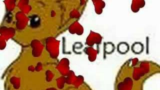 Leafpool:What A Broken Heart Feels Like