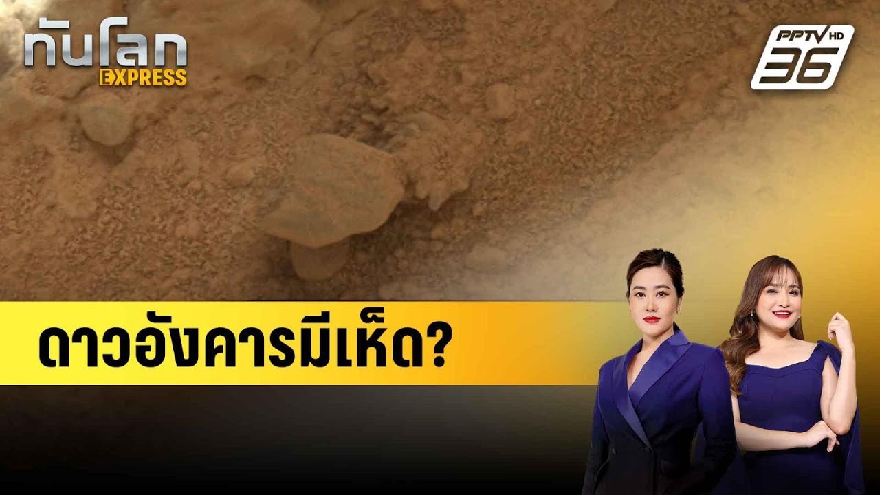 ชาวเน็ตชี้ กล้อง NASA ถ่ายติด “เห็ด” บนดาวอังคาร  |ทัน?