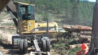 A Truck Load of Logs with Logger Dan
