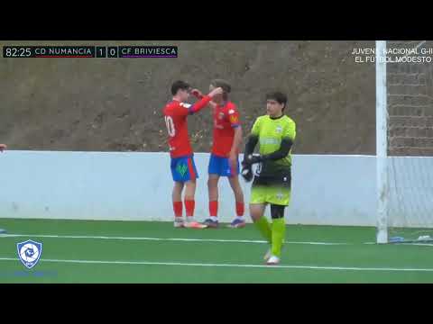 Goles del partido de la Liga Juvenil Nacional entre CD Numancia Juvenil A - CF Briviesca Norpetrol.