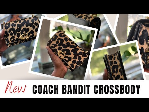 What fits⁉️Coach Bandit | Special occasion & date night bag.