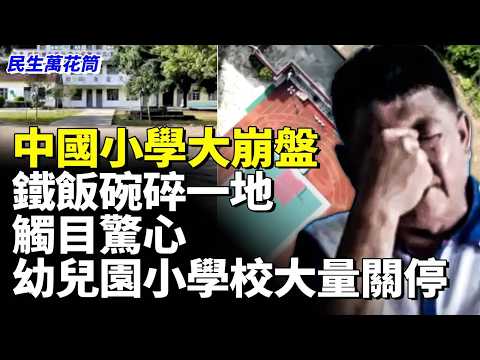 The Number of Primary Schools in China is Plummeting, the Early Childhood Education Industry is C...