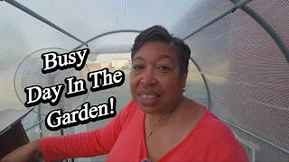 What's Happening In The GARDEN Today?