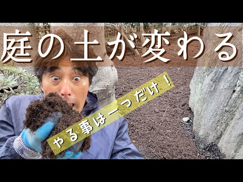 entretien-jardin-ameliorer-sol-cendre-bois