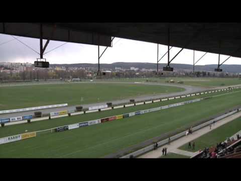 Ve Velké Chuchli začala dostihová sezona