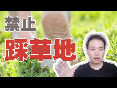 為什麼中國的草地不能踩？