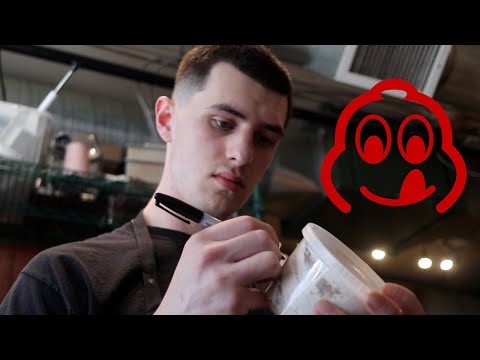 Day in a Life of Prep Cook: Working in a Michelin Recommended Kitchen