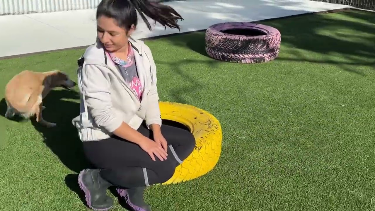 Dexter, an adopted mixed breed in Austin, TX video 6/6