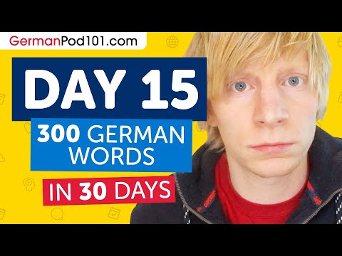 Day 15: 150/300 | Learn 300 German Words in 30 Days Challenge