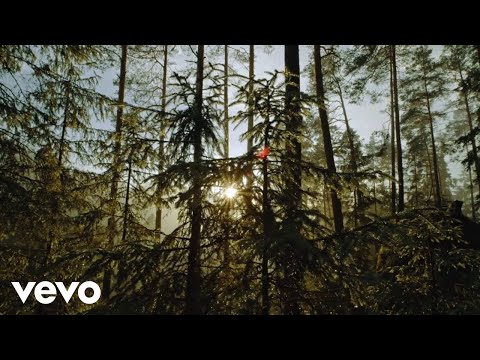 Ćiro Crni Šest - Sve Su Ptice Utihnule