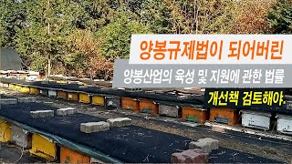 양봉규제법이 되어버린 양봉산업의 육성및 지원에 관한 법률, 개선책 검토해야.