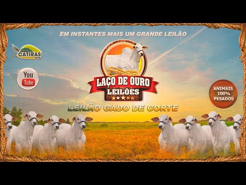 LEILÃO AO VIVO -  LAÇO DE OURO LEILÕES - CORUMBAÍBA - GO - 07 DE NOVEMBRO DE 2025.