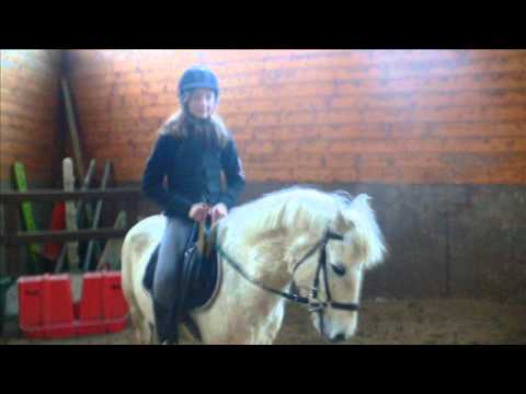 Linebrok , l'histoire d'une vie