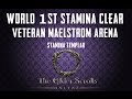 Maelstrom Arena (vet) - World First Stamina Clear by Alcast - ESO