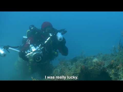 Gombessa V Expedition Mediterranean Planet - Episode 03